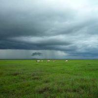 游客用户的头像