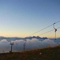 灯下辣妹的头像