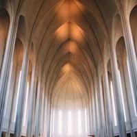 爱拔草的老街坊的头像