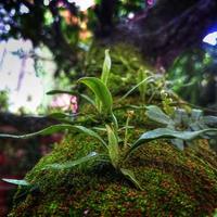 深秋小土豆的头像