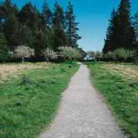 月下旅行者的头像