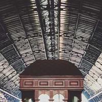 慵懒的瞌睡虫的头像