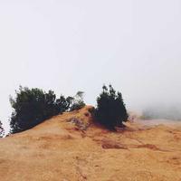 洒脱的咖啡师的头像