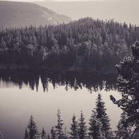 浅夏小迷糊的头像