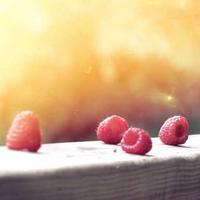 风里潮人的头像