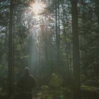 爱拔草的美食家的头像