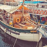 做烘焙的捕云者的头像