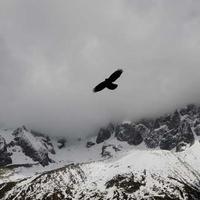 随性的种花匠的头像