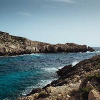 随和的运动狂的头像