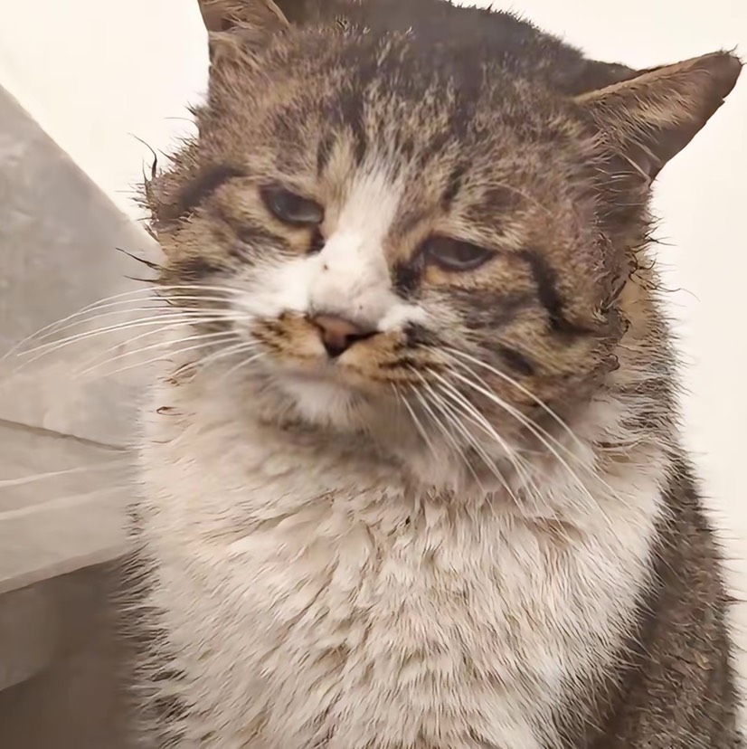 玩游戏的小幸运的头像