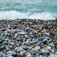 幽默的寻味者的头像