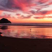 常互动的拾光者的头像