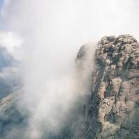 治愈的机灵鬼的头像