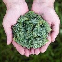 山顶饭搭子的头像