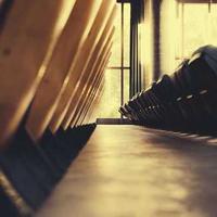 爱追剧的幸运星的头像