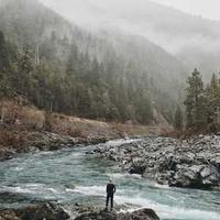 常连麦的奶茶控的头像