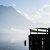 暖心的奶茶控的头像