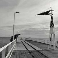 佛系的酷盖的头像