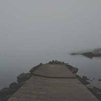 软萌的机灵鬼的头像