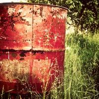 爱摄影的追风者的头像