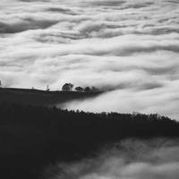 流星咖啡师的头像