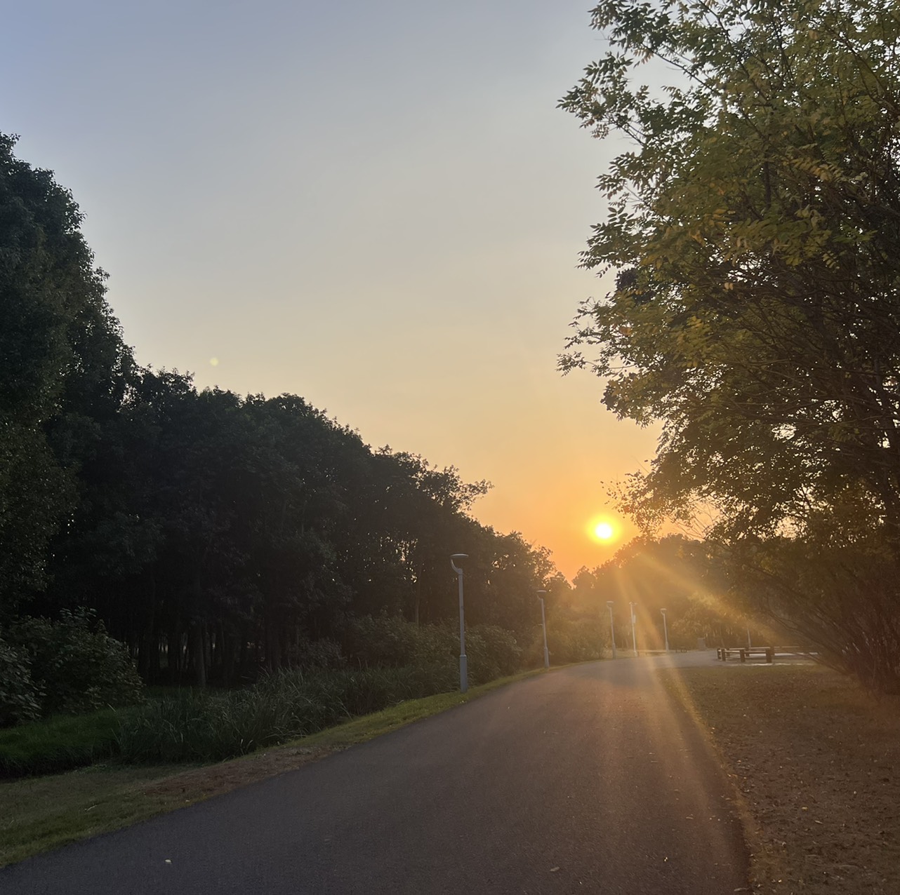 萌新用户的头像