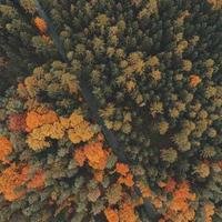 海边追光者的头像