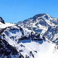 月下旅行家的头像
