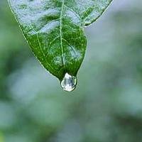 爱露营的甜品脑袋的头像
