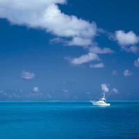 爱点赞的调皮蛋的头像