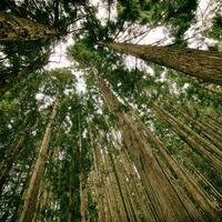 爱评论的应援人的头像