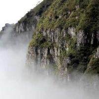 雨中开心果的头像