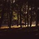 爱追剧的美食家的头像